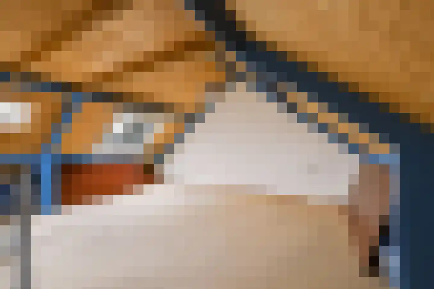 Nachtegaal 71 Wijk bij Duurstede thumbnail 35