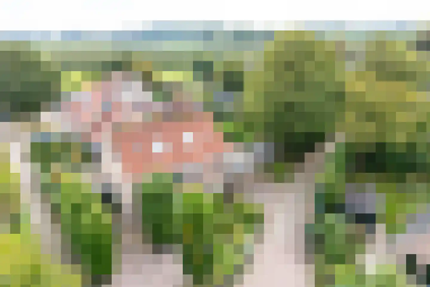 Nachtegaal 71 Wijk bij Duurstede thumbnail 4