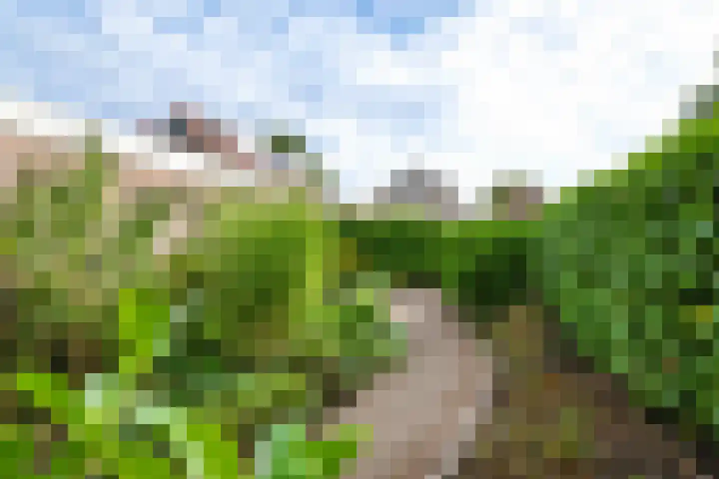 Nachtegaal 71 Wijk bij Duurstede thumbnail 44