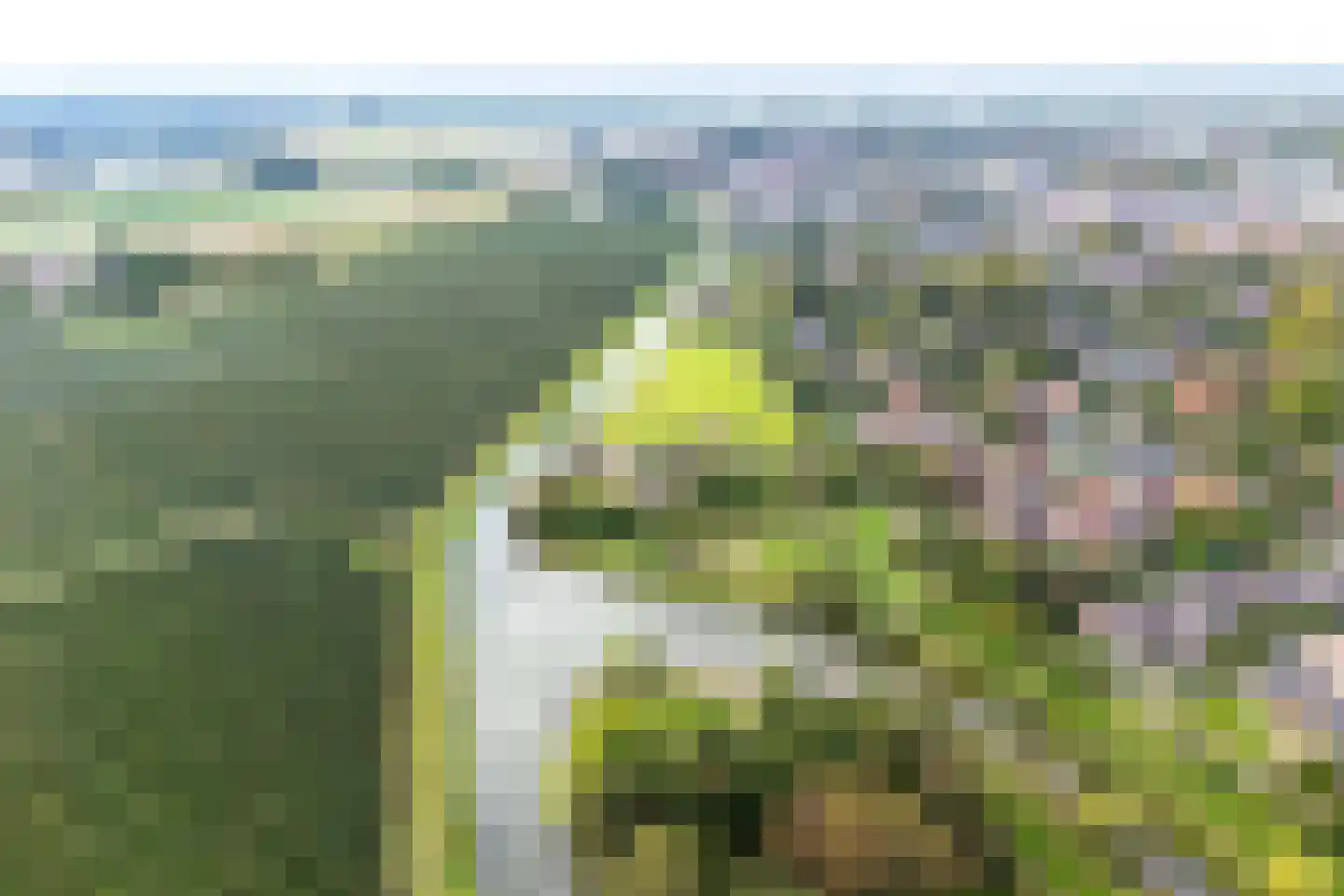 Nachtegaal 71 Wijk bij Duurstede thumbnail 48