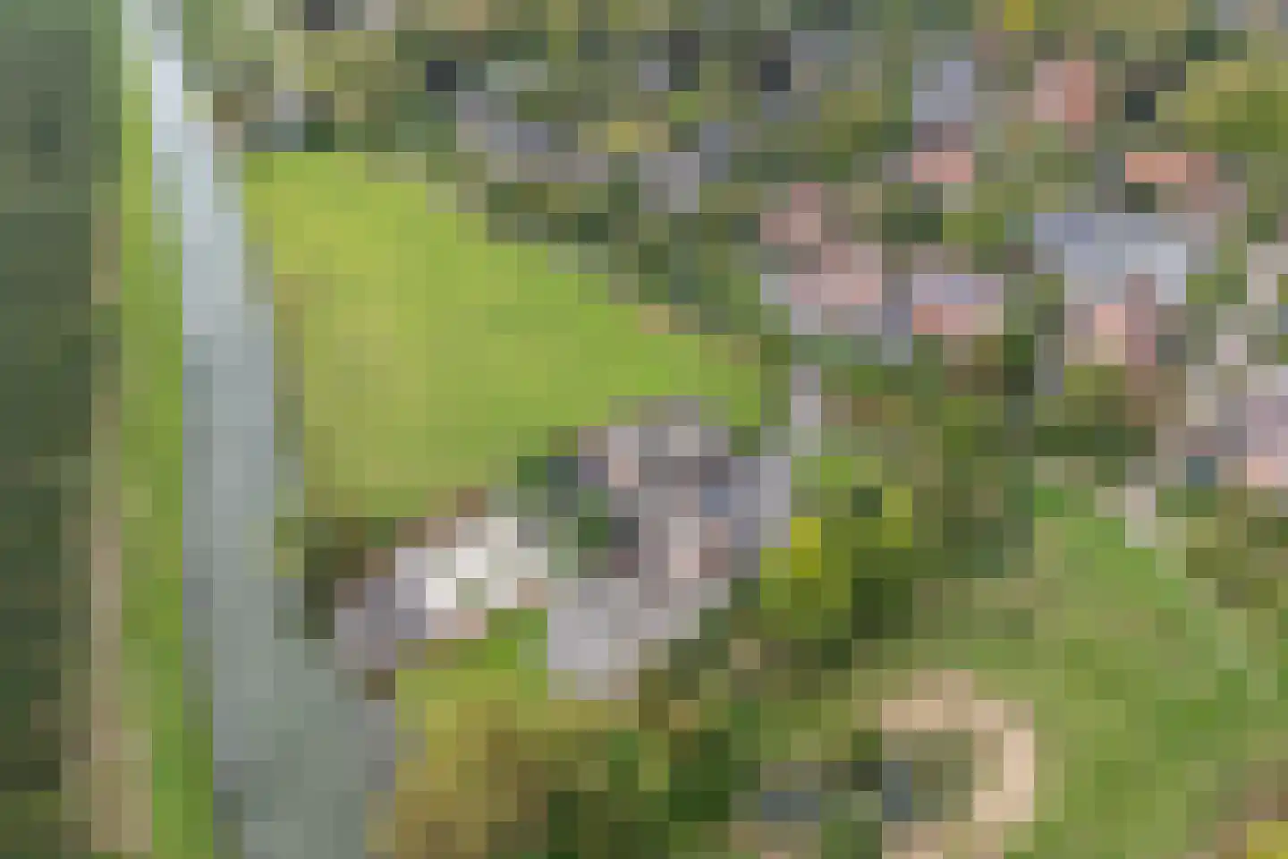 Nachtegaal 71 Wijk bij Duurstede thumbnail 49