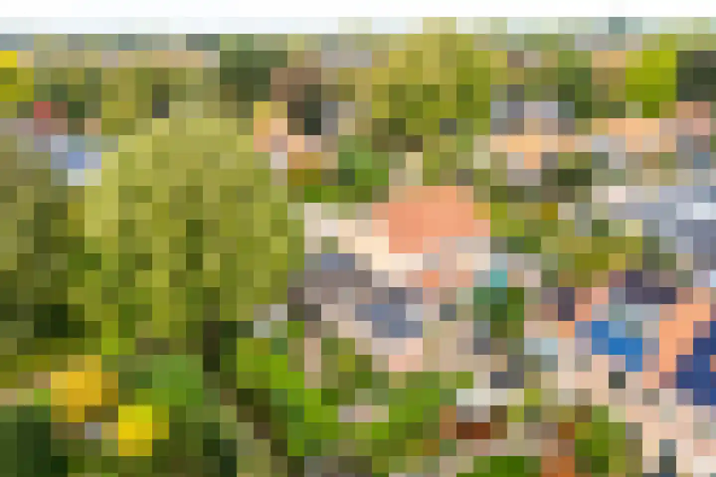 Nachtegaal 71 Wijk bij Duurstede thumbnail 51