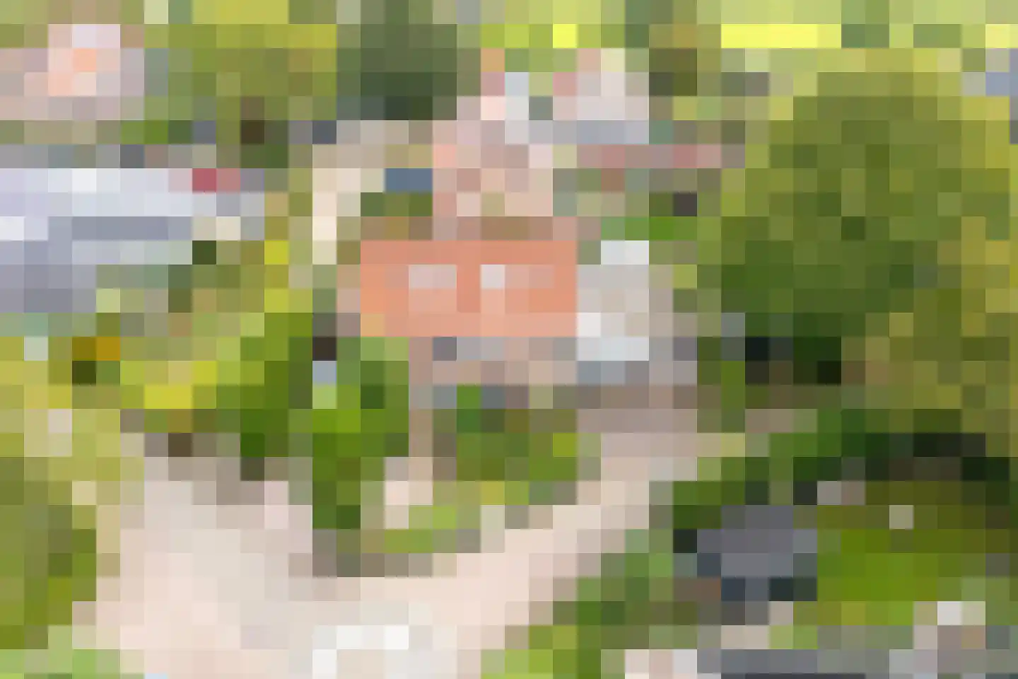 Nachtegaal 71 Wijk bij Duurstede thumbnail 52