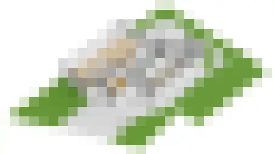 Nachtegaal 71 Wijk bij Duurstede thumbnail 56