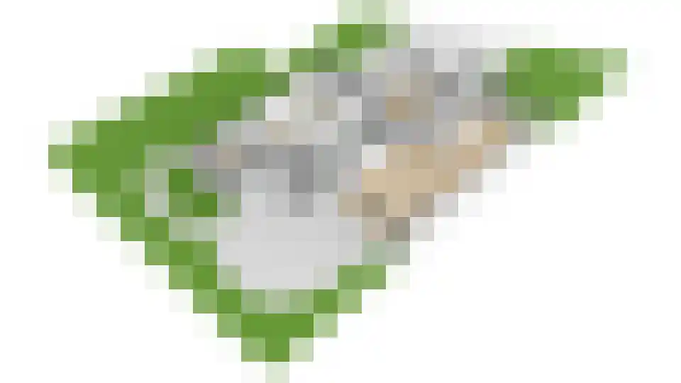 Nachtegaal 71 Wijk bij Duurstede thumbnail 57