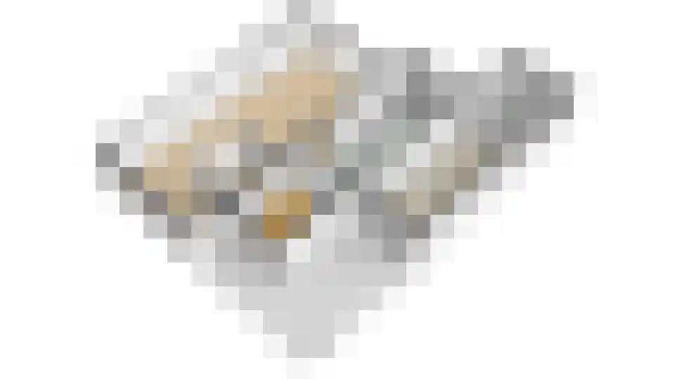 Nachtegaal 71 Wijk bij Duurstede thumbnail 59