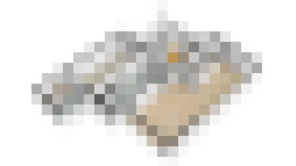 Nachtegaal 71 Wijk bij Duurstede thumbnail 60