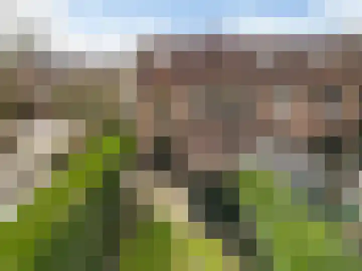 Nachtegaal 72 Hoorn thumbnail 22