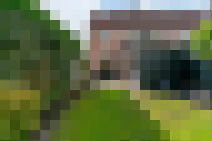 Nachtegaal 72 Hoorn thumbnail 23