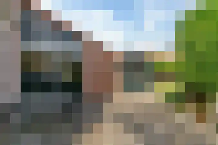 Nachtegaal 72 Hoorn thumbnail 24