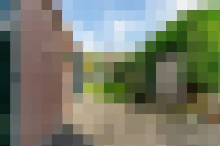 Nachtegaal 72 Hoorn thumbnail 25