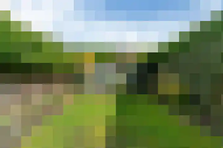 Nachtegaal 72 Hoorn thumbnail 26