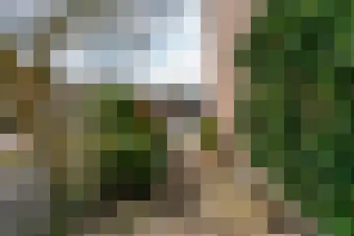 Nachtegaal 72 Hoorn thumbnail 27