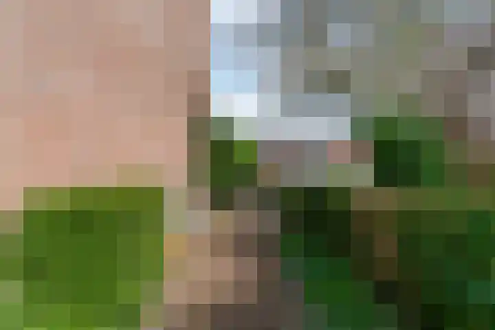 Nachtegaal 72 Hoorn thumbnail 28