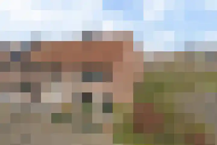Nachtegaal 72 Hoorn thumbnail 32