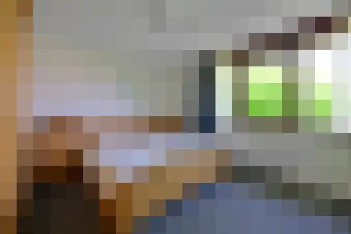 Nachtegaal 8 Zeewolde thumbnail 10