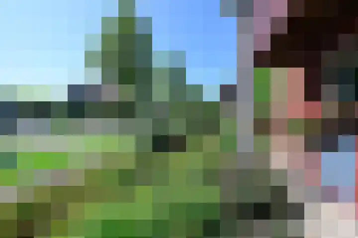 Nachtegaal 8 Zeewolde thumbnail 17