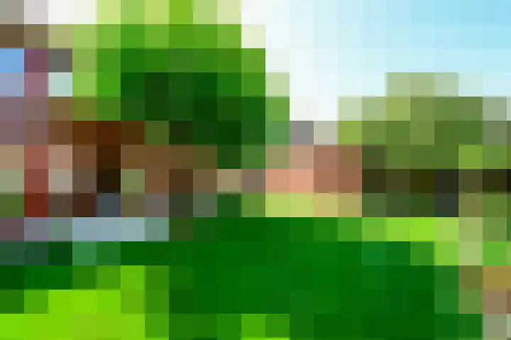 Nachtegaal 8 Zeewolde thumbnail 20