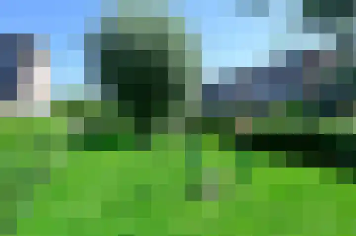 Nachtegaal 8 Zeewolde thumbnail 21