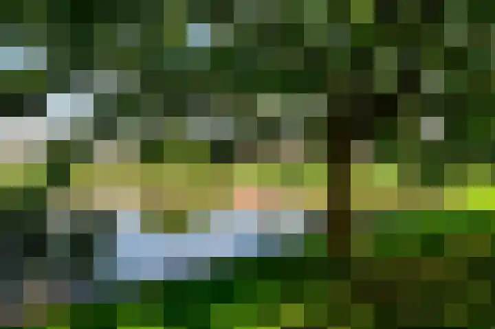 Nachtegaal 8 Zeewolde thumbnail 22