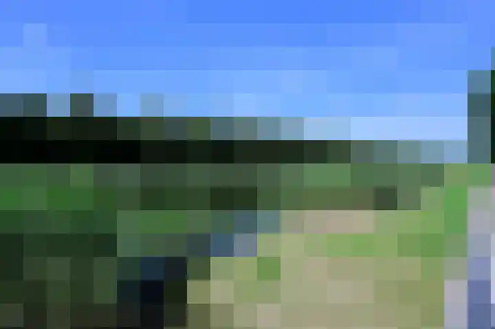 Nachtegaal 8 Zeewolde thumbnail 23