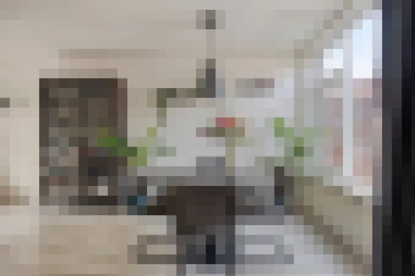 Nachtegaal 93 Etten-Leur thumbnail 15