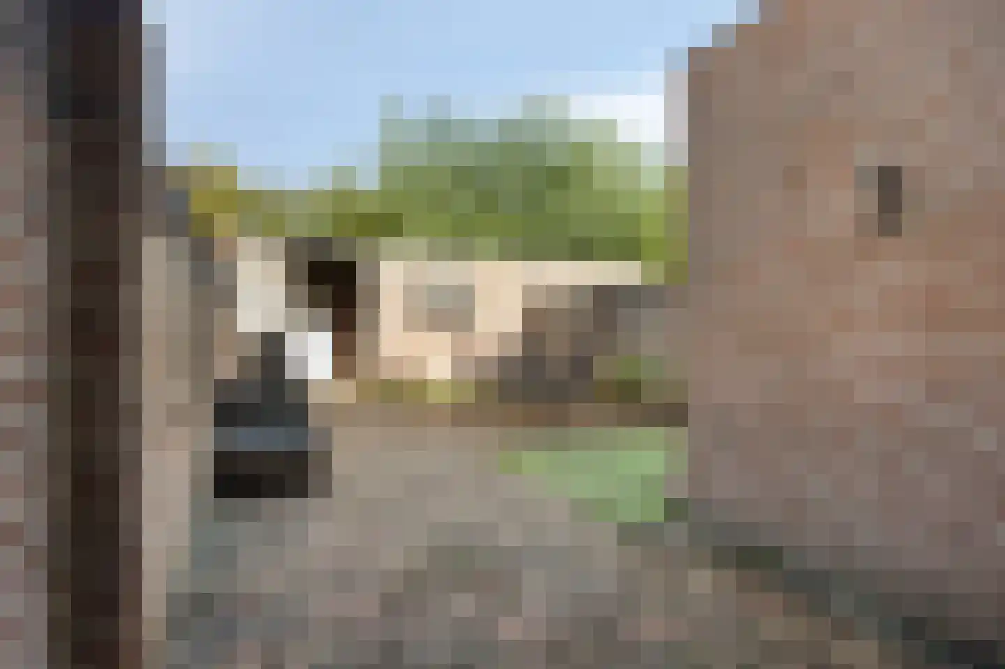 Nachtegaal 93 Etten-Leur thumbnail 22