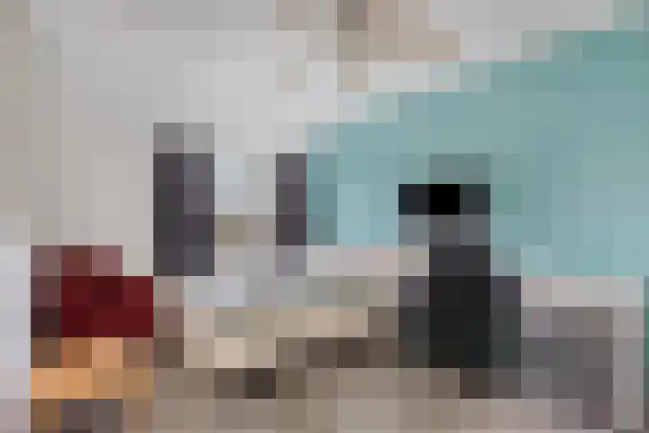 Nachtegaal 97 Hoorn thumbnail 22