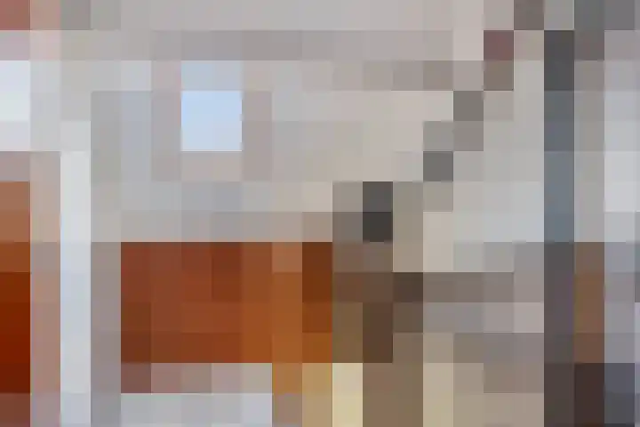 Nachtegaal 97 Hoorn thumbnail 29