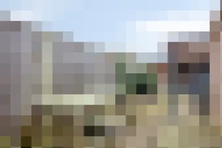 Nachtegaal 97 Hoorn thumbnail 34