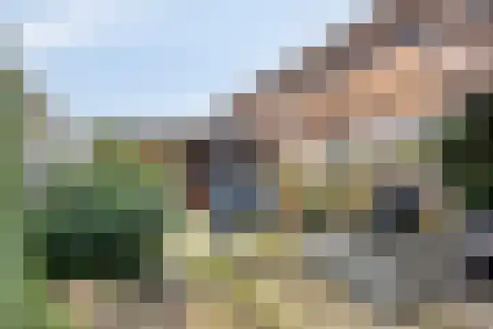 Nachtegaal 97 Hoorn thumbnail 35