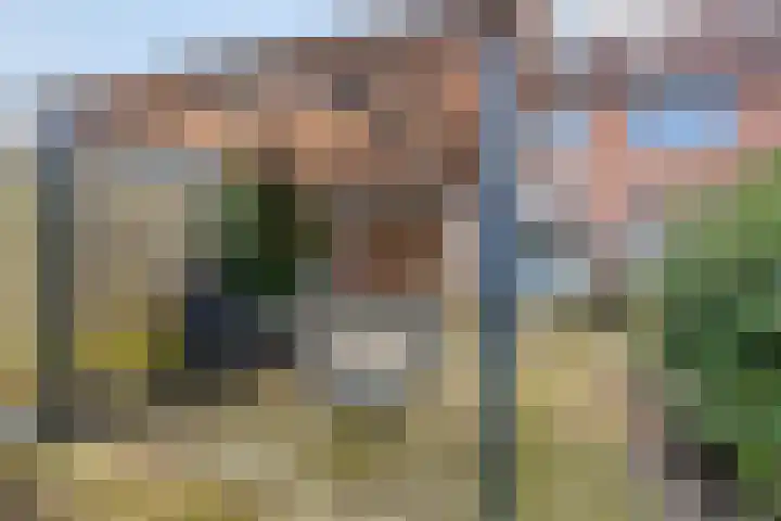 Nachtegaal 97 Hoorn thumbnail 37
