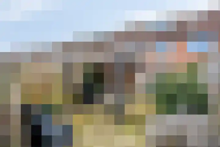 Nachtegaal 97 Hoorn thumbnail 39