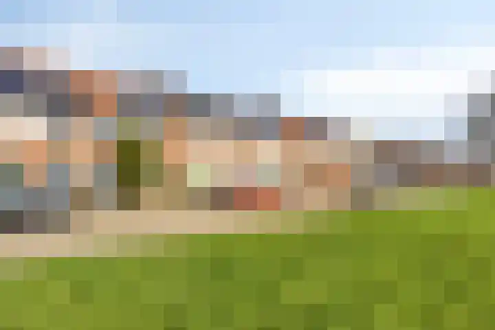 Nachtegaal 97 Hoorn thumbnail 4