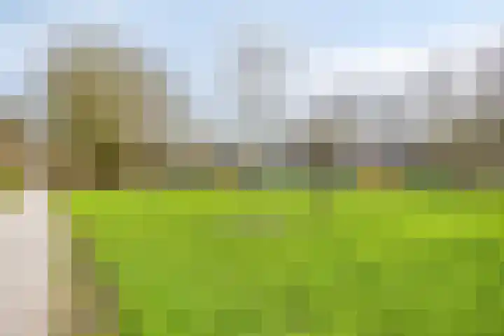 Nachtegaal 97 Hoorn thumbnail 40