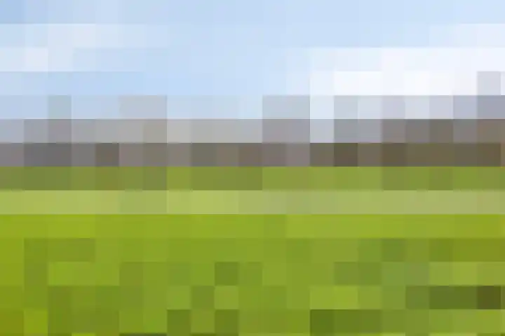 Nachtegaal 97 Hoorn thumbnail 41