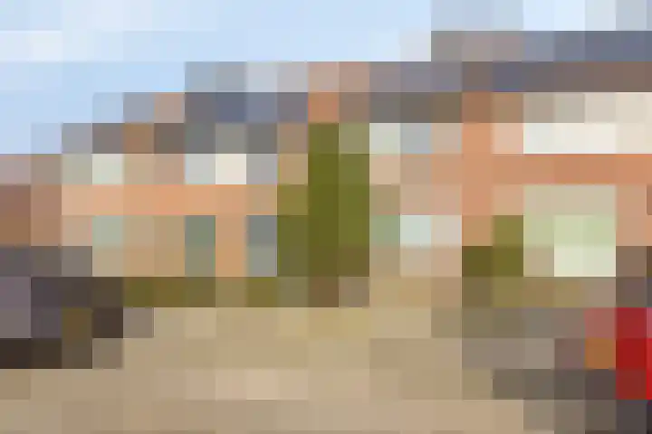 Nachtegaal 97 Hoorn thumbnail 5