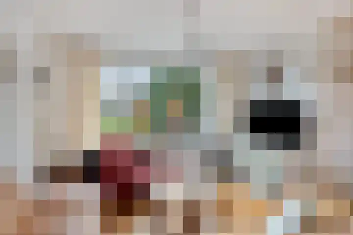 Nachtegaal 97 Hoorn thumbnail 9