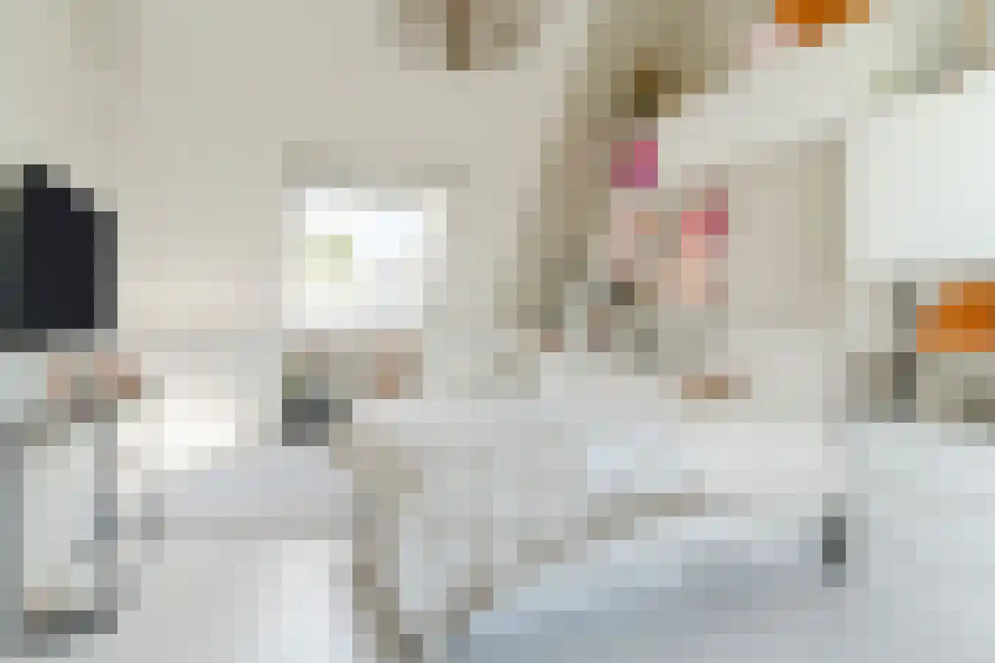 Nachtegaallaan 1 Culemborg thumbnail 30