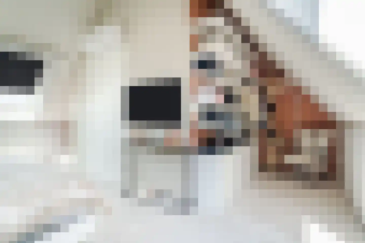 Nachtegaallaan 1 Culemborg thumbnail 31