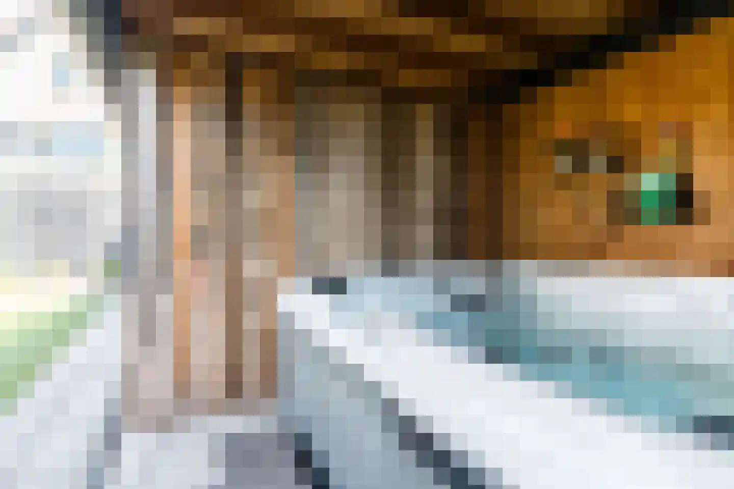Nachtegaallaan 1 Culemborg thumbnail 41