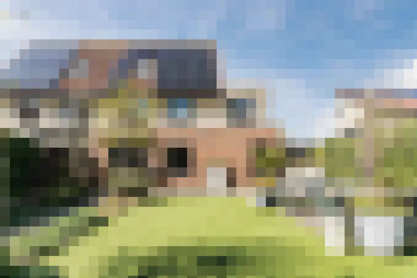 Nachtegaallaan 1 Culemborg thumbnail 42