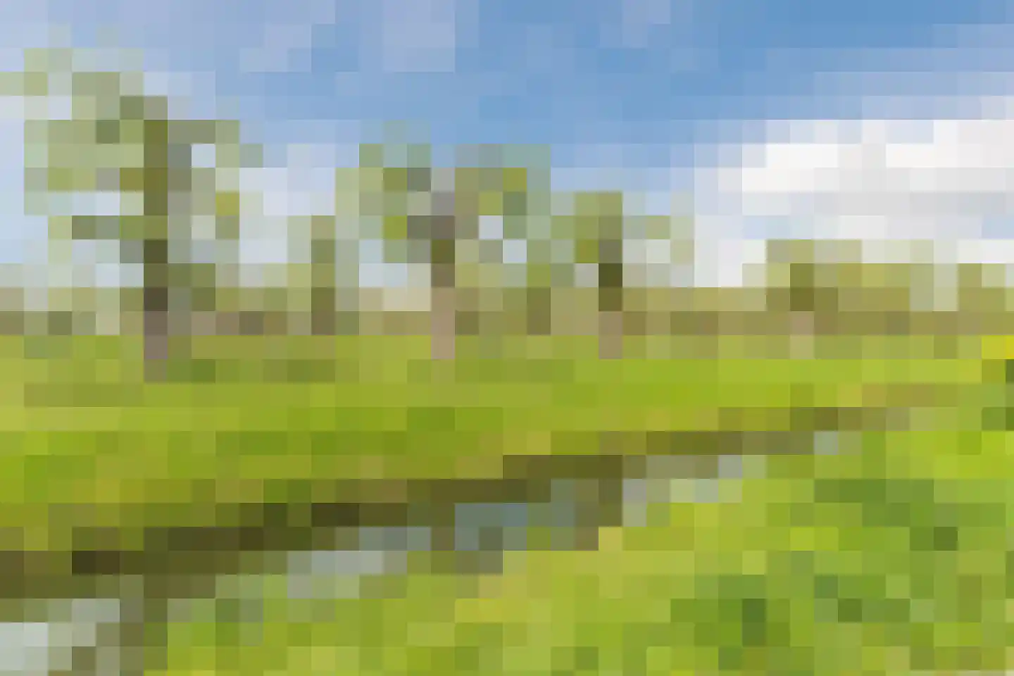 Nachtegaallaan 1 Culemborg thumbnail 43