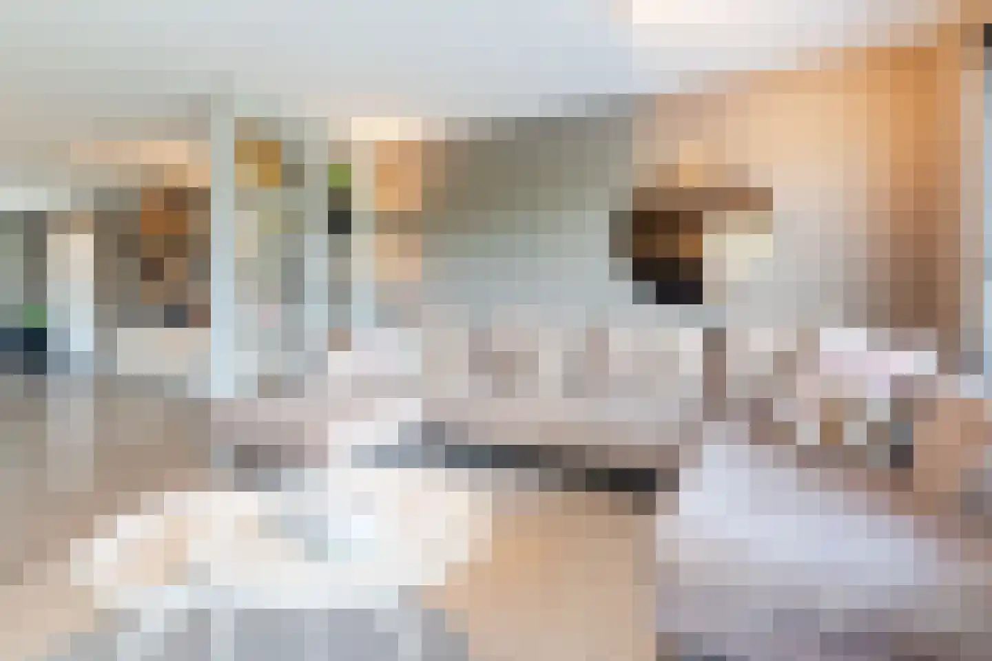 Nachtegaallaan 1 Culemborg thumbnail 9