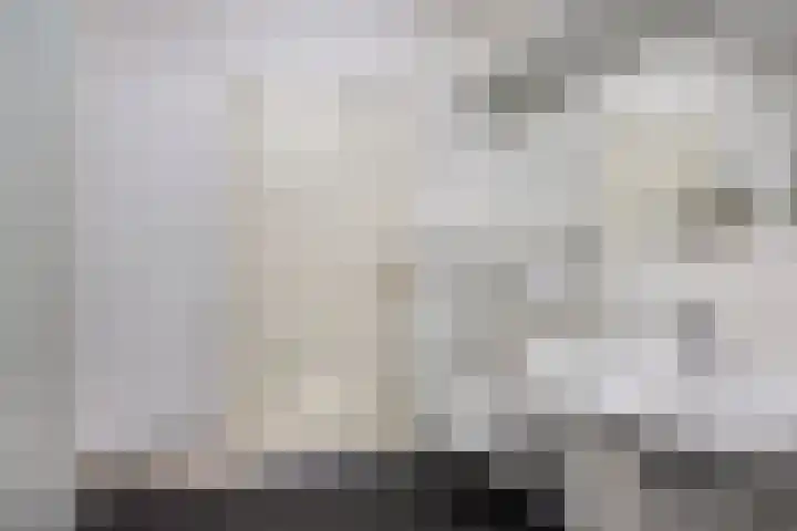 Nachtegaallaan 1 Grubbenvorst thumbnail 33