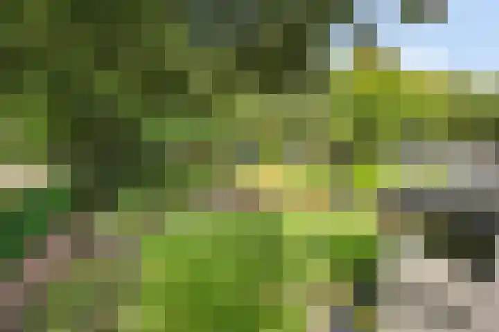 Nachtegaallaan 1 Grubbenvorst thumbnail 43