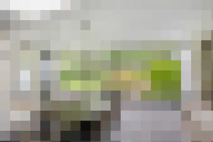 Nachtegaallaan 1 Grubbenvorst thumbnail 44