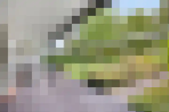 Nachtegaallaan 1 Grubbenvorst thumbnail 45