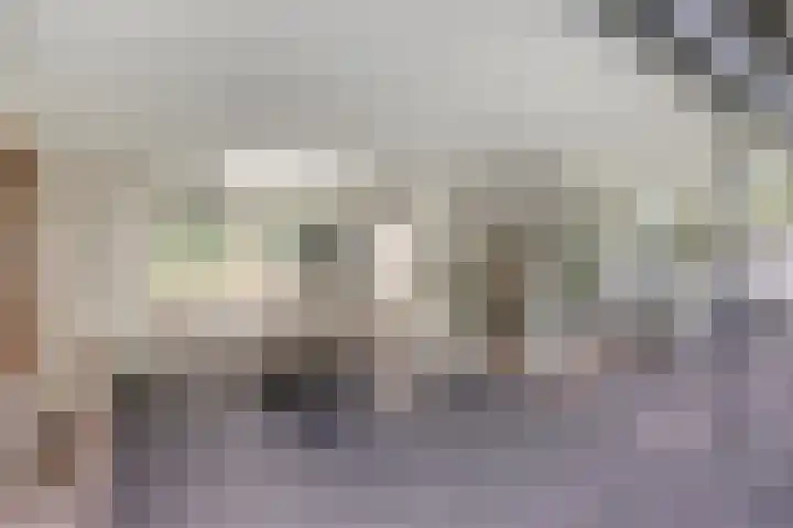 Nachtegaallaan 1 Grubbenvorst thumbnail 46