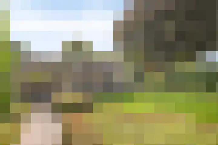 Nachtegaallaan 1 Grubbenvorst thumbnail 47